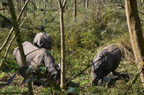  Les autres rencontres fortuites