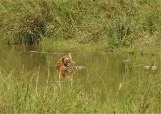  Le principal pôle d